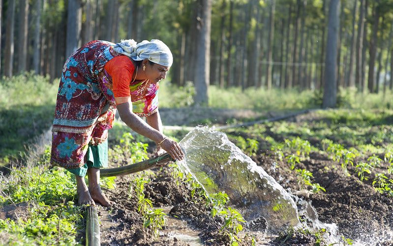 A farmer waters crops in Tamil Nadu, India